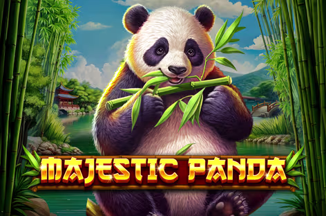 Majestic Panda